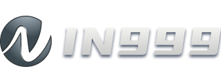 IN999 Logo
